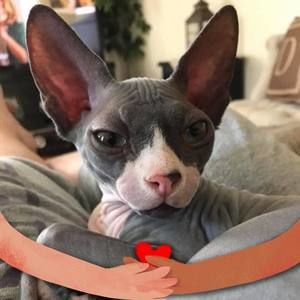 Meet your Posher, Diane